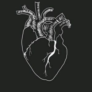 Meet your Posher, Nate